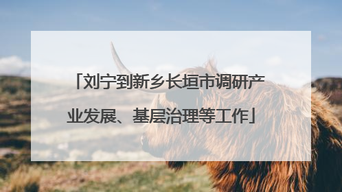 刘宁到新乡长垣市调研产业发展、基层治理等工作