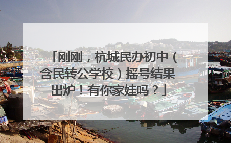 刚刚，杭城民办初中（含民转公学校）摇号结果出炉！有你家娃吗？