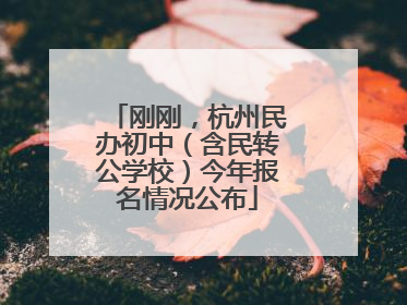 刚刚，杭州民办初中（含民转公学校）今年报名情况公布