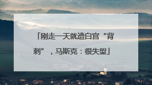 刚走一天就遭白宫“背刺”，马斯克：很失望
