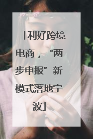 利好跨境电商，“两步申报”新模式落地宁波