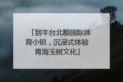 到丰台北粮国际体育小镇，沉浸式体验青海玉树文化