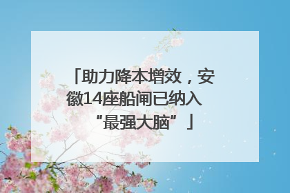 助力降本增效，安徽14座船闸已纳入“最强大脑”