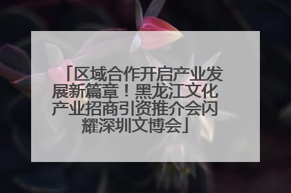 区域合作开启产业发展新篇章！黑龙江文化产业招商引资推介会闪耀深圳文博会