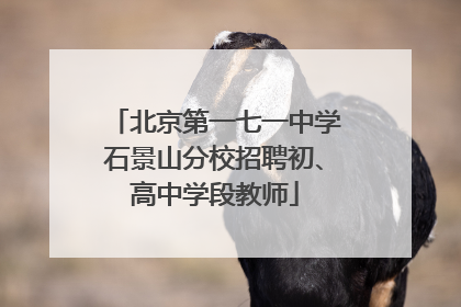 北京第一七一中学石景山分校招聘初、高中学段教师