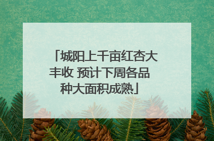 城阳上千亩红杏大丰收 预计下周各品种大面积成熟