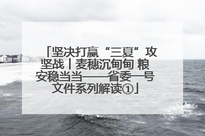 坚决打赢“三夏”攻坚战丨麦穗沉甸甸 粮安稳当当——省委一号文件系列解读①