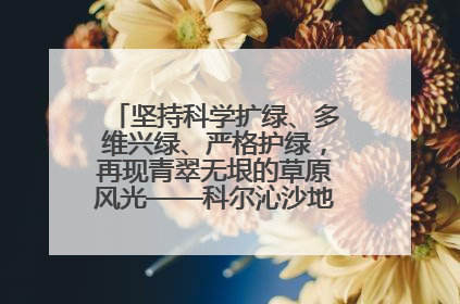 坚持科学扩绿、多维兴绿、严格护绿，再现青翠无垠的草原风光——科尔沁沙地歼灭战阜新这样打