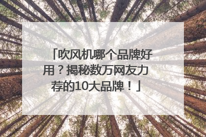 吹风机哪个品牌好用？揭秘数万网友力荐的10大品牌！