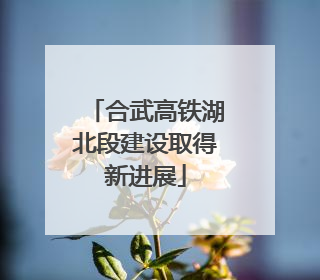 合武高铁湖北段建设取得新进展