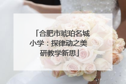 合肥市琥珀名城小学：探律动之美 研教学新思