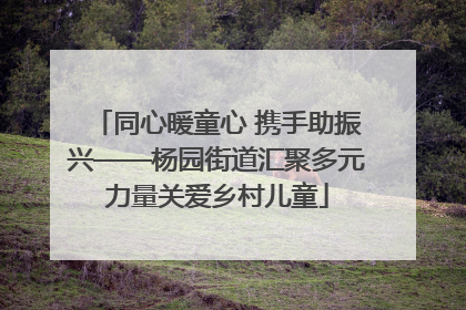 同心暖童心 携手助振兴——杨园街道汇聚多元力量关爱乡村儿童