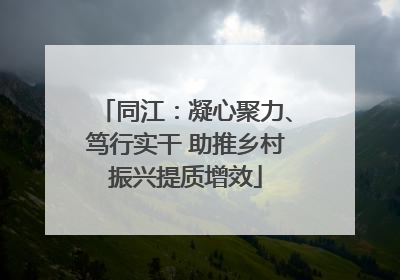 同江：凝心聚力、笃行实干 助推乡村振兴提质增效