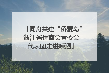 同舟共建“侨爱岛” 浙江省侨商会青委会代表团走进嵊泗