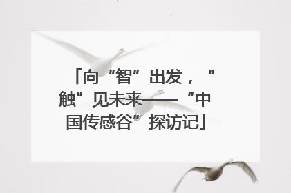 向“智”出发，“触”见未来——“中国传感谷”探访记