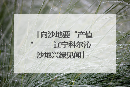 向沙地要“产值”——辽宁科尔沁沙地兴绿见闻