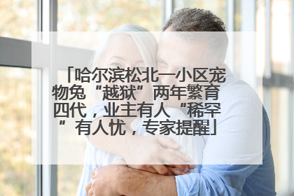 哈尔滨松北一小区宠物兔“越狱”两年繁育四代，业主有人“稀罕”有人忧，专家提醒