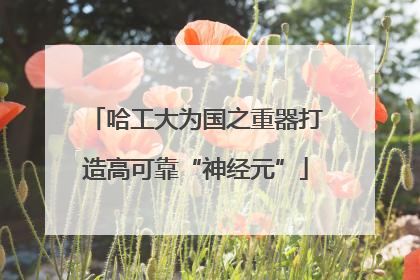 哈工大为国之重器打造高可靠“神经元”