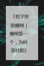 哲学里的郴州｜郴州第一个，为何落桂阳