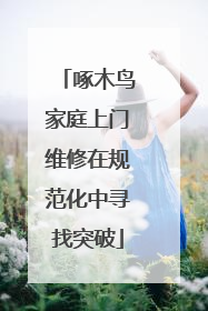 啄木鸟家庭上门维修在规范化中寻找突破