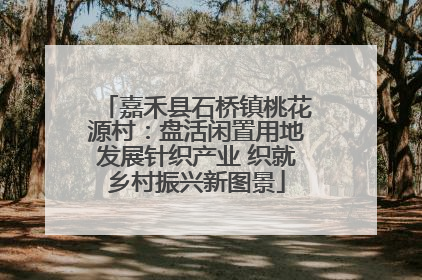 嘉禾县石桥镇桃花源村：盘活闲置用地发展针织产业 织就乡村振兴新图景