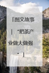 图文故事｜“把茶产业做大做强”