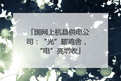 国网上杭县供电公司：“光”耀鸡舍，“电”亮增收