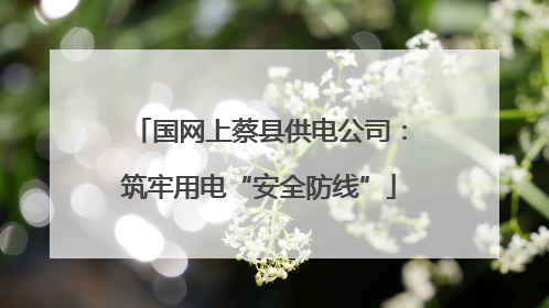国网上蔡县供电公司：筑牢用电“安全防线”