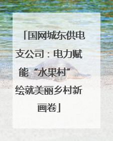 国网城东供电支公司：电力赋能“水果村” 绘就美丽乡村新画卷