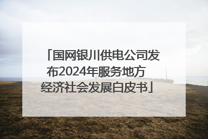 国网银川供电公司发布2024年服务地方经济社会发展白皮书