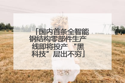 国内首条全智能钢结构零部件生产线即将投产 “黑科技”层出不穷