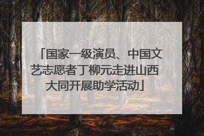国家一级演员、中国文艺志愿者丁柳元走进山西大同开展助学活动