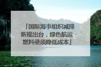 国际海事组织减排新规出台，绿色航运燃料亟须降低成本