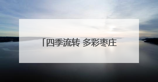 四季流转 多彩枣庄｜滕州市龙阳镇：“龙湖月色”向日葵花海 绘就乡村振兴新画卷
