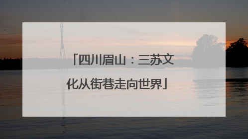 四川眉山：三苏文化从街巷走向世界