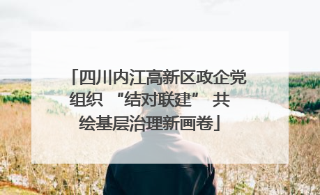 四川内江高新区政企党组织 “结对联建” 共绘基层治理新画卷