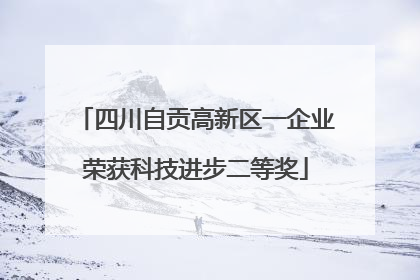 四川自贡高新区一企业荣获科技进步二等奖