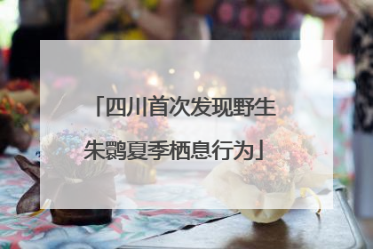 四川首次发现野生朱鹮夏季栖息行为