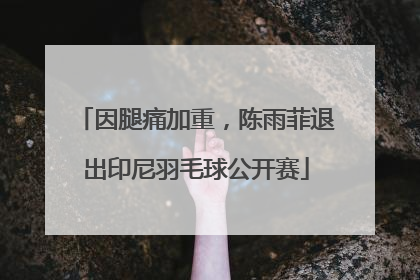 因腿痛加重，陈雨菲退出印尼羽毛球公开赛