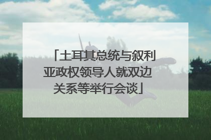 土耳其总统与叙利亚政权领导人就双边关系等举行会谈