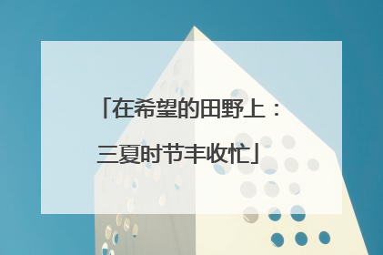 在希望的田野上：三夏时节丰收忙