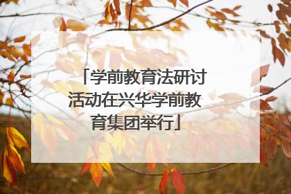 学前教育法研讨活动在兴华学前教育集团举行