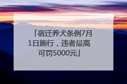 宿迁养犬条例7月1日施行，违者最高可罚5000元