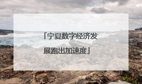 宁夏数字经济发展跑出加速度