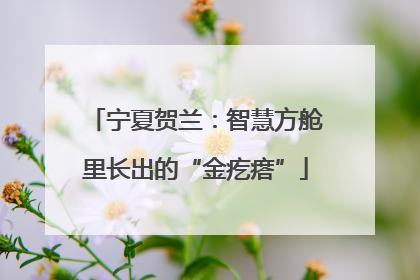 宁夏贺兰：智慧方舱里长出的“金疙瘩”