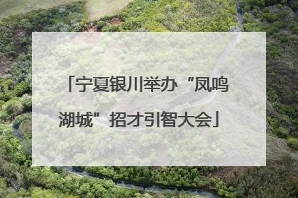 宁夏银川举办“凤鸣湖城”招才引智大会