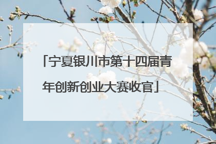 宁夏银川市第十四届青年创新创业大赛收官