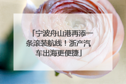 宁波舟山港再添一条滚装航线！浙产汽车出海更便捷