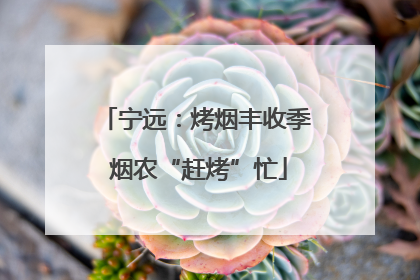 宁远：烤烟丰收季 烟农“赶烤”忙