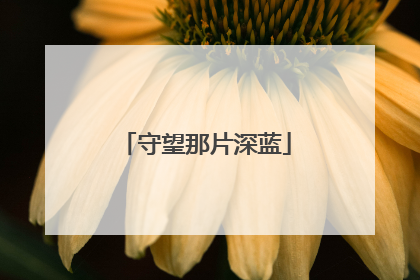 守望那片深蓝